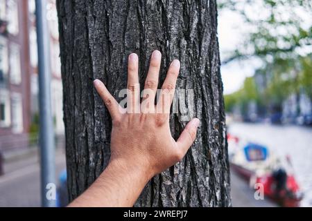 A man's hand touches the rough bark of a tree in an urban setting with a canal visible in the background. Stock Photo