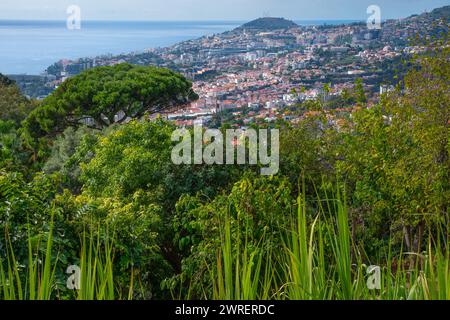 Aerial view of Funchal, Madeira island, Portugal Stock Photo