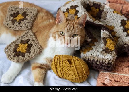 Cute ginger cat laying on the bed with a ball of yarn and crochet hook. Cat playing with with crocheted ornament. Cozy autumn picture. Stock Photo
