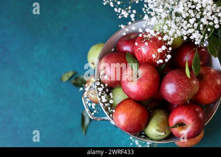 Harvest festival concept. Vibrant still life with red apples. Vibrant colors of fresh seasonal fruit. Apples in a colander. Stock Photo