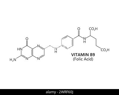 Vitamin b9, or folic acid, has a molecular formula c19h19n7o6. Its structure includes a pteridine ring, para-aminobenzoic acid, and a glutamic acid residue. Vector chemical structure or scheme Stock Vector