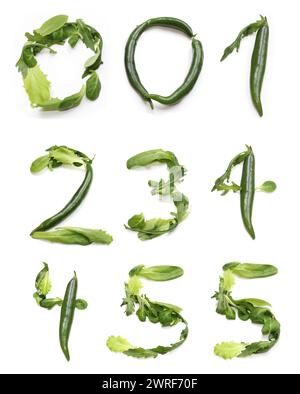 numbers 0 1 2 3 4 5 from green chili pepper, green salad lettuce leaf. vegetarian vegetable number one, two three four five, vegan bowl, birthday meal Stock Photo