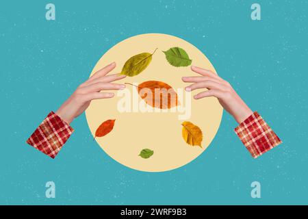 Composite trend artwork sketch image 3D photo collage of two huge hands throw dry autumn leaves green orange yellow colored fall season Stock Photo