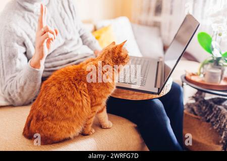 Man facetiming from home with pet using computer. Close up of ginger cat looking at laptop screen during video chat relaxing on couch. Stock Photo