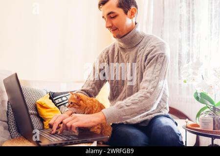 Working online from home with pet using computer. Man freelancer typing on laptop keyboard next to ginger cat looking at screen. Remote job Stock Photo