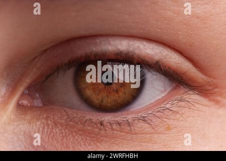 Beautiful big brown eye close-up. Caucasian appearance. Part of a child's body. Dark saturated color. Eyesight check. Macro. Happy childhood. Caring Stock Photo