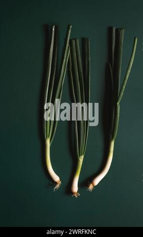 three freshly picked onions on green background. Stock Photo