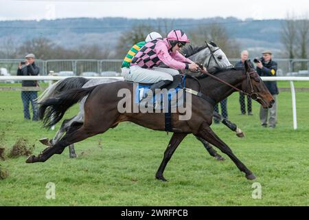 Fifth race at Wincanton, February 3rd 2022 - Peckmoor Farm Lodges' Novices' hurdle Stock Photo