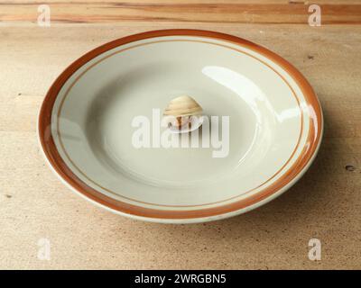 Ripe mussels with smooth white shells served on a plate Stock Photo