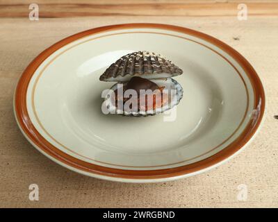 Cooked clams with rough shells served on a plate. Stock Photo