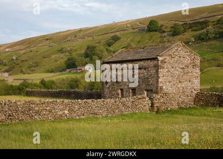 A dry stone barn near Muker in Swaledale in the Yorkshire Dales, North Yorkshire, UK Stock Photo