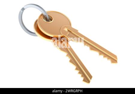 Two keys on a keyring, 3D rendering isolated on white background Stock ...