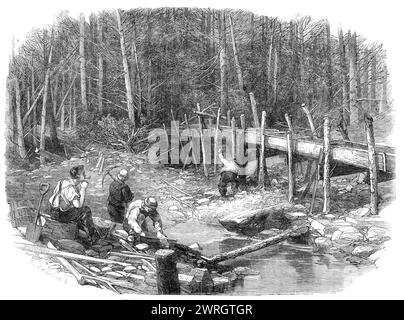 The Chaudi&#xe8;re Gold-Fields, Canada: the diggings on a tributary of the Chaudi&#xe8;re, 1864. 'Forty-eight years ago a woman, engaged in washing, found a large nugget of gold, which she sold for a trifle as a curious stone...In 1849 a small company was formed...and a great deal of gold was found, but not enough to enable the directors to declare a dividend...Since the abandonment of the company's works a few of the neighbouring habitans have obtained considerable quantities by means of washing with tin pans. As few strangers visited the locality, they managed to conceal their great success Stock Photo