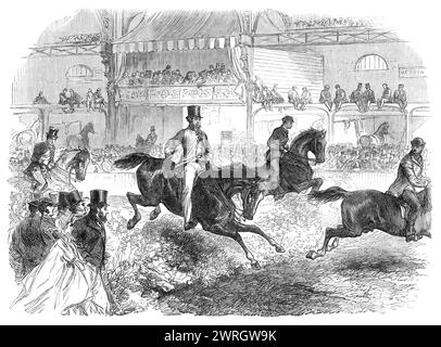 The Horse Show at Islington [in London]: trying the hunters, 1864. View of '...the Trial of Hunters jumping over a framework of hurdles covered with furze-bushes to represent a hedge. The hurdles were fixed upon an axis which would revolve at the least touch; so that there was no fear of throwing down the horse whose feet should strike against them. The central area of the hall had been inclosed and covered with tan, so as to form a safe and convenient circus for the performance of these equine feats, and for the promenade of the different classes of horses, either led, ridden, or driven - wal Stock Photo