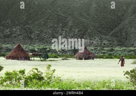 SOUTH OMO - ETHIOPIA - NOVEMBER 25, 2011: View of the typical Ethiopian house, in November 25, 2011 in Omo Rift Valley, Ethiopia. Stock Photo