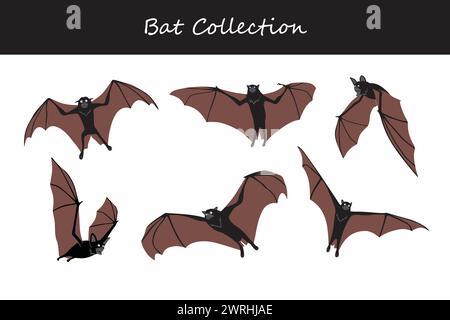 bat vector illustration set. Cute bat isolated on white background. Stock Vector