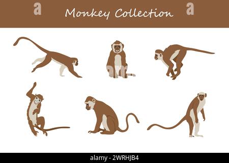 monkey vector illustration set. Cute monkey isolated on white background. Stock Vector