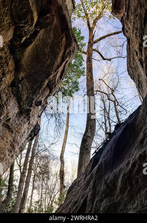 Trees framed by rock walls in Granite City, Nantahala National Forest, near Cashiers, North Carolina, USA Stock Photo