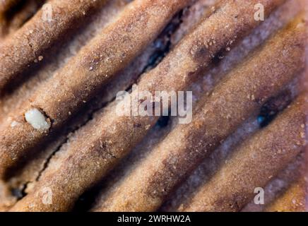 This image features a mouthwatering close-up view of chocolate chip cookies Stock Photo