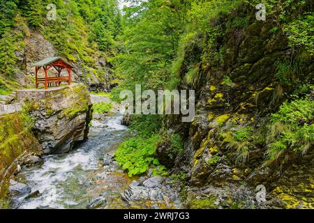 Landscape at the Jiet stream, a mountain stream in the Transylvanian Alps in the southern Carpathians. Iron Market District, Transylvania, Romania Stock Photo