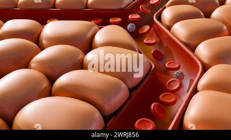 3d rendering of cells around of blood artery Stock Photo - Alamy
