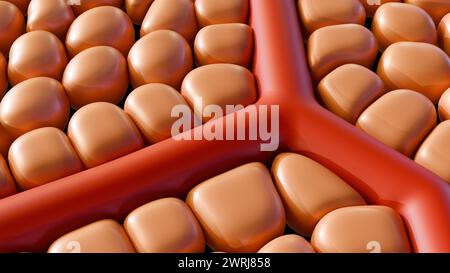 3d rendering of cells around of blood artery Stock Photo - Alamy