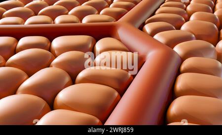 3d rendering of cells around of blood artery Stock Photo - Alamy