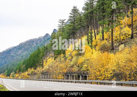 Landscape with a gorgeous straight highway road passing through an autumn forest with yellowing trees on the mountain range in Columbia Gorge national Stock Photo