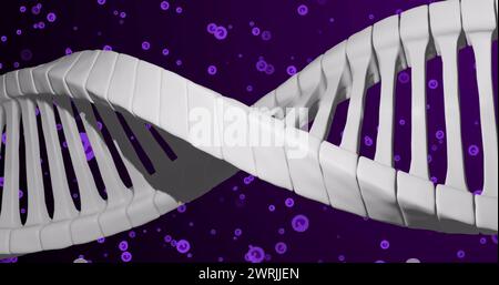 Image of dna over purple cells on violet background Stock Photo
