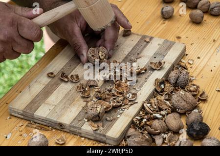 Man cracking walnuts with hammer at table, closeup Stock Photo