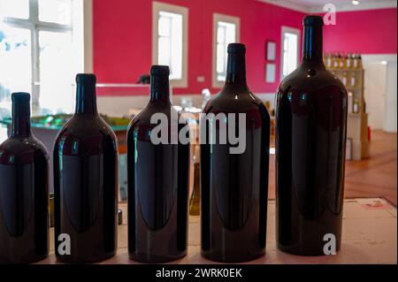 Different sizes of unlabled bottles of red Bordeaux wine in tasting room, wine domain in Haut Medoc, wine tour and degustations, France Stock Photo