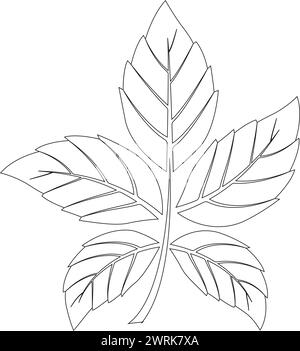 leaf logo icon vektor illustration design Stock Vector Image & Art - Alamy