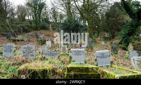 The graveyard at Minster Church, Boscastle, Cornwall, UK - John Gollop Stock Photo