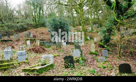 The graveyard at Minster Church, Boscastle, Cornwall, UK - John Gollop Stock Photo