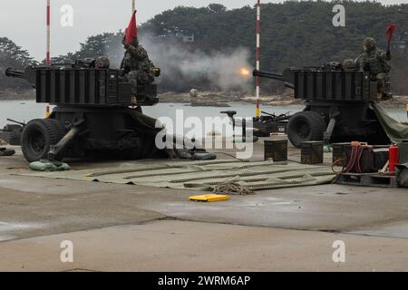 Republic of Korea Marines fire a M167 Vulcan Air Defense System to demonstrate its capabilities to U.S. Marines with 3rd Low Altitude Air Defense Stock Photo