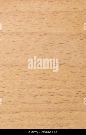 close-up of beechwood surface, pale cream color fine, even grain and smooth texture background or backdrop, furniture, flooring or decorative veneers Stock Photo