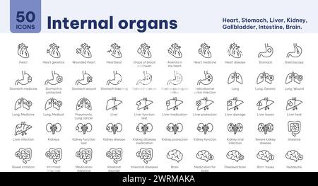 Internal organs icons, Heart, medicine, Drops of blood, Stomach, Gastroscopy, bleeding, Stomach cancer, Lung, Liver, issues, infection, Kidneys, Intes Stock Vector