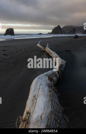 A long log is laying on the beach, with the ocean in the background. The scene is calm and peaceful, with the waves gently lapping at the shore. The l Stock Photo