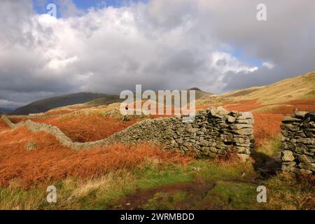 Fellside Wall near Alcock Tarn above Grasmere, Cumbria Stock Photo