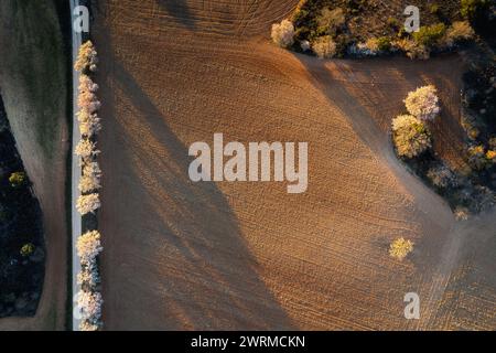 An aerial shot captures the textured patterns of plowed fields with trees casting long shadows at sunset. Stock Photo