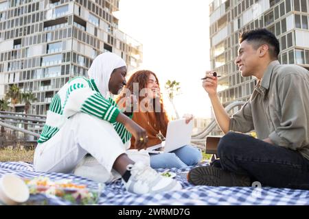 Diverse group of students, including an African American woman and a man, enjoying a picnic and studying with a laptop on a sunny day against an urban Stock Photo