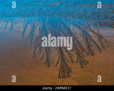 Sand patterns resembling tree branches created by water on the beach of Jaizkibel, showcasing the natural art of erosion. Stock Photo