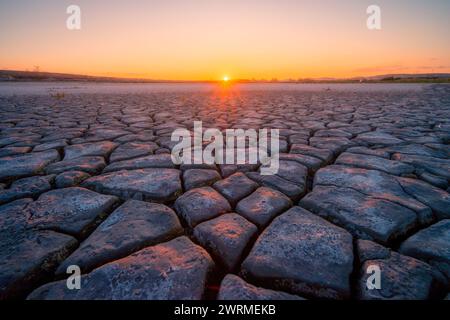 The golden sunset casts a warm glow over a vast landscape of textured mudcracks, symbolizing drought and the beauty of natural patterns Stock Photo