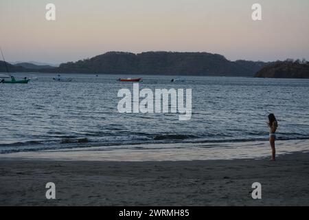 Tree branch silhouetted against hillside at sundown on tropical beach Stock Photo
