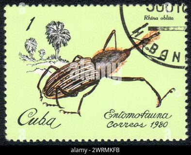 A stamp printed in CUBA shows image of a Rhina oblita beetle, from series - entomofauna, Cuba,1980 Stock Photo