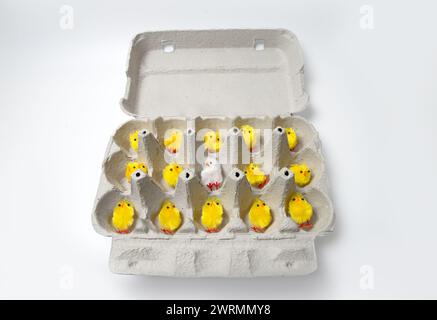 Yellow and white Chickens decorations on a crate for Easter Celebration. Stock Photo