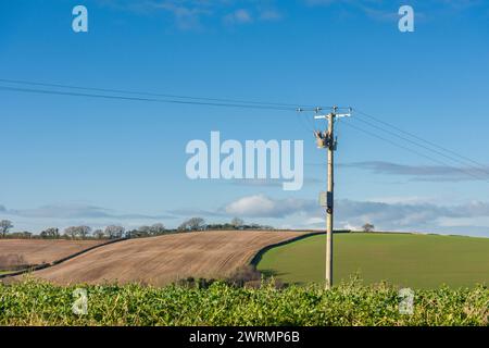 A Gas-filled Vacuum Recloser on a 3-phase 11kv overhead electricity distribution pole providing the ability to monitor and remotely isolate live cables in event of a fault to the electricity supply in rural West Somerset near Stogumber, England. Stock Photo