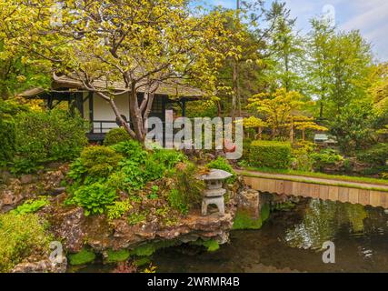 The tea house in the Japanese Gardens in the National Stud, County Kildare, Ireland Stock Photo