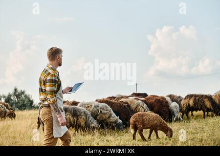 attractive farmer with beard and tattoos using tablet to analyze his cattle of sheeps and lambs Stock Photo