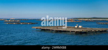 Mussel Aquaculture Rafts Batea, Mussel Growing Sea Platform, Batea Mussel Farms, Ría de Arousa, Arousa Estuary, Pontevedra, Galicia, Spain, Europe Stock Photo